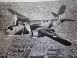 MILITARIA Photo ,Photographie Avion à Hélices En Vol (modèle à Identifier)Base Aérienne (BAG 1951 écrit Au Verso Photo) - Luchtvaart