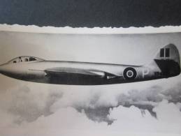 MILITARIA Photo ,Photographie Avion à Hélices En Vol (modèle à Identifier)Base Aérienne (BAG 1951 écrit Au Verso Photo) - Aviation