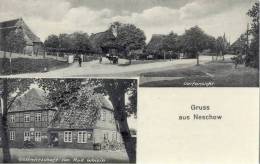 Gruss Aus Neschow Bei Rehna Gasthof Rud Woisin Bahnpost Z. 308 24.11.1934 TOP-Erhaltung - Grevesmühlen