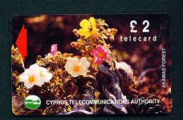 CYPRUS - Magnetic Phonecard As Scan - Cyprus