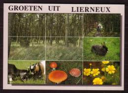 LIERNEUX - 6 Vues Diverses (1) - Non Circulé - Not Circulated - Nicht Gelaufen. - Lierneux