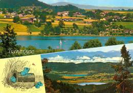 AK Kärnten Obersammelsdorf Turnersee 1994 Sablatnigmoor Ulrichsberg Österreich AUSTRIA Carinthia Žamanje - Klopeinersee-Orte