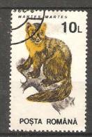 Romania 1993  Animals-Mammals: Pine Martin (o) - Oblitérés
