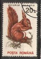 Romania 1993  Animals-Mammals: Eurasian Red Squirrel (o) - Oblitérés