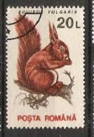 Romania 1993  Animals-Mammals: Eurasian Red Squirrel (o) - Oblitérés