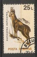 Romania 1993  Animals-Mammals: Chamois (o) - Oblitérés