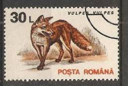 Romania 1993  Animals-Mammals: Red Fox (o) - Oblitérés