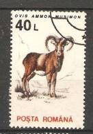 Romania 1993  Animals-Mammals: Argali (o) - Oblitérés