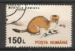Romania 1993  Animals-Mammals: Stoat (o) - Oblitérés