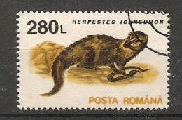 Romania 1993  Animals-Mammals: Egyptioan Mongoose (o) - Oblitérés