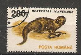 Romania 1993  Animals-Mammals: Egyptioan Mongoose (o) - Oblitérés