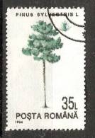 Romania 1994  Trees: Scots Pine  (o) - Oblitérés