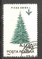 Romania 1994  Trees: Norway Spruce  (o) - Oblitérés