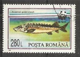 Romania 1994  WWF: Sturgeons (o) - Oblitérés