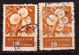 BULGARIA / BULGARIE - 1956 - Serie Courant - 28st Peches - Dent. K 13 Et L 10 3/4 - Variedades Y Curiosidades