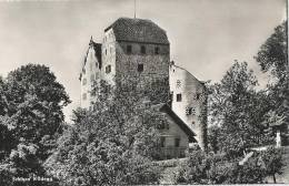 Schloss Wildegg           Ca. 1950 - Wildegg