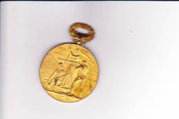 Medaille Société De Tir De MOULIN  Concours De 1901 - Sonstige & Ohne Zuordnung