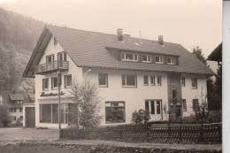 7865 TODTMOOS, Photo-AK Haus Hasenwander - Todtmoos