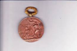 Medaille Société De Tir De MOULINS  (Allier) - Andere & Zonder Classificatie