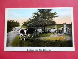 Greetings From Blue Ridge Ga      Not Mailed   Ref 920 - Augusta