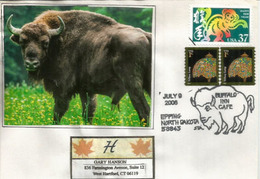 USA. LE BISON  Du  Dakota Du Nord,  Enveloppe Souvenir 2006 - Vaches