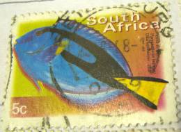 South Africa 2000 Fish Palette Surgeon 5c - Used - Usados