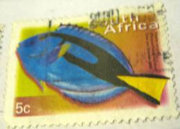 South Africa 2000 Fish Palette Surgeon 5c - Used - Oblitérés