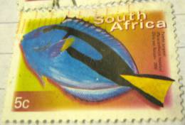 South Africa 2000 Fish Palette Surgeon 5c - Used - Gebruikt