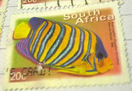 South Africa 2000 Fish Royal Angelfish 20c - Used - Gebruikt