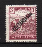 MAGYAR - 1918 YT 199 * - Unused Stamps