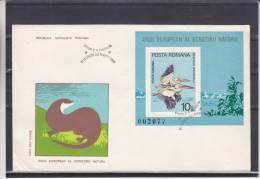 Idées Européennes - Oiseaux - Pélicans - Roumanie - Document De 1980 - Cicogne & Ciconiformi
