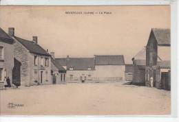 BOISSEAUX- La Place - Très Bon état - Andere Gemeenten