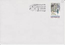 Liechtenstein Postmark - Flamme Postale - Poststempel Christmas 1989 - Maschinenstempel (EMA)