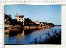 CHALONNES - Les Terrasses Et La Loire - Chalonnes Sur Loire