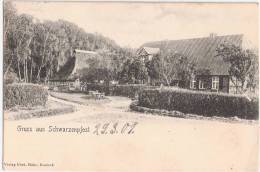 Gruss Aus Schwarzenpfost Rostock Er Heide GELBENSANDE 30.3.1907 Gelaufen - Rostock