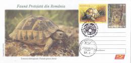 TURTLE, TORTUE, COVER FDC, ENTIERE POSTAUX, POSTAL STATIONERY, 2009, ROMANIA - Schildpadden