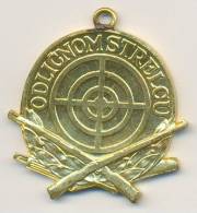 Medaille - Medal - Odlicnom Strelcu - Otros & Sin Clasificación