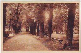 78. LOUVECIENNES. CHATEAU DE VOISINS. ALLEE DES TILLEULS ET TENNIS. Editions PATRAS - Louveciennes