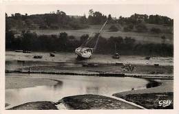 Depts Divers -finistere-ref G296-moelan Sur Mer -ramassage Des Huitres Dans Le Lit Du Belon  -carte Bon Etat   - - Moëlan-sur-Mer