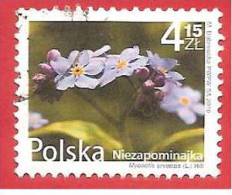POLONIA - POLSKA - USATO - 2010 - Fiori E Frutti - Myosotis - 4,15 Zł - Michel PL 489 - Used Stamps