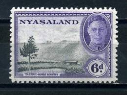 NYASALAND    1945     6d  Black  And  Violet     MH - Malawi (1964-...)