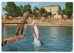 Cpsm - Cesenatico - Delfini - Dauphins - Dolphins - Delphine (Italia - Italie) - Delphine