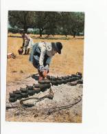 Delcampe - Portugal Cor 23617 - COSTUMES ALENTEJO - CEIFEIRAS - HORA DO ALMOÇO - Beja