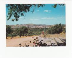 Delcampe - Portugal Cor 23627 - VIDIGUEIRA - VISTA GERAL DA VILA - Beja