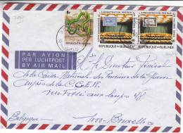 Nations Unies - Timbres Sur Timbres - Serpents - Burundi - Lettre De 1978  ?? - Avec 2 Timbres NON Dentelés - Usati