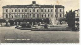 CAMPOBASSO 1955 - PIAZZA MUNICIPIO - Campobasso