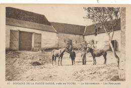 BEAUMONT LA RONCE - Domaine De La Haute Barde - Ferme De La Sécheresse - Les Poulains - Beaumont-la-Ronce