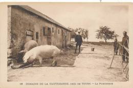 BEAUMONT LA RONCE - Domaine De La Haute Barde - La Porcherie - Beaumont-la-Ronce