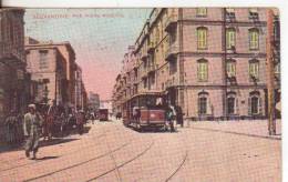 79-Alessandria-Egitto-Alexandrie-Egypte-Tram E Carrozze-Tram Et Chariots-Tram And Carriages-1910 - Alexandria