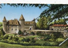 CPSM - (38) - VIRIEU-sur-BOURBRE - Le Château Du XI° Au XVII° Siècle - Virieu